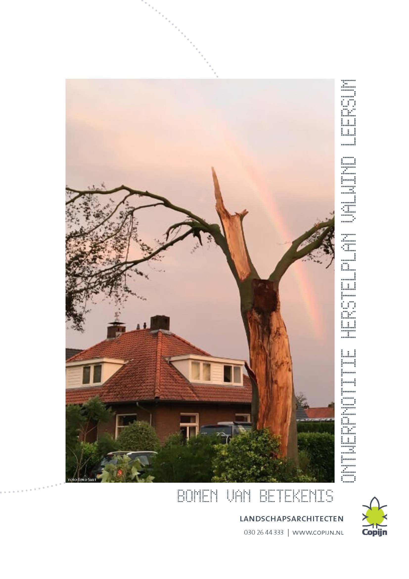Avond van de Raad: Herstelplan